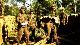 Guerreros ecológicos