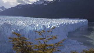 Perito Moreno.