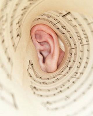 Gusano musical