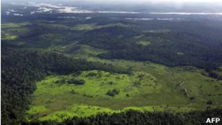 Amazônia brasileira. AFP
