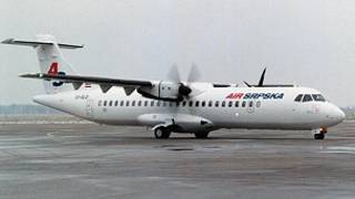 طائرة شبيهة