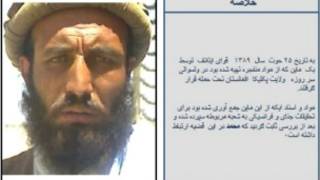 محمد احسان