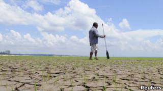Ribera río Brasil