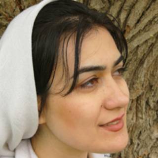 نسیم نجفی، فیلمساز
