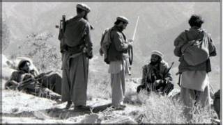 مجاهدین