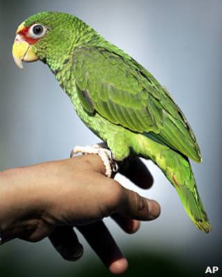 Foto: AP