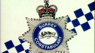 英国警察有一个颇富诗意的别称, “那条细蓝线”。现实是,蓝线渐粗。