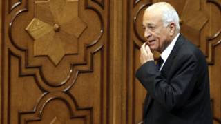 نبيل العربي