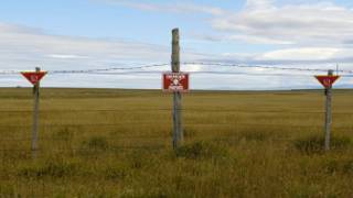 Terreno minado nas Ilhas Malvinas (BBC)