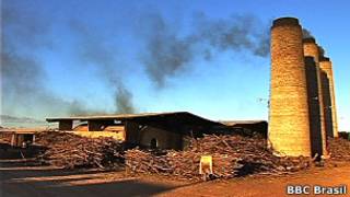 Carregamento ilegal de madeira | Foto: Paulo Cabral/BBC Brasil