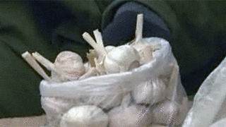 新鲜大蒜