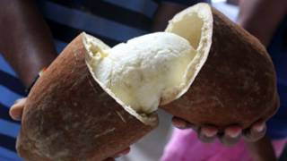 Copoazú o cupuaçu (Theobroma grandiflorum). Foto cortesía Instituto Amazónico de Investigaciones Científicas Sinchi.