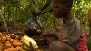 La Côte d'Ivoire est le premier producteur mondial de cacao.