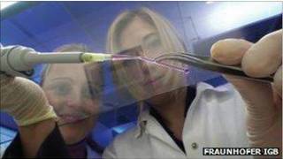 scientist