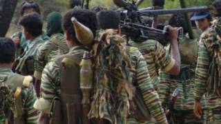 Tamil Tigers