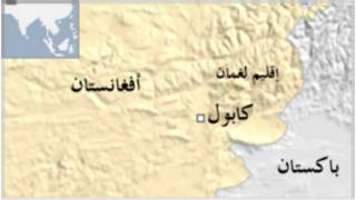 افغانستان،مقتل