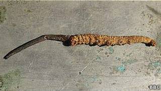 Fungo | Foto: BBC
