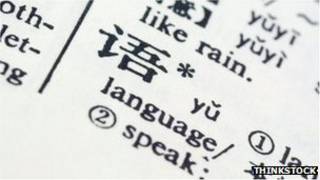 چینی لغت