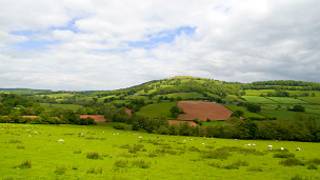 countryside
