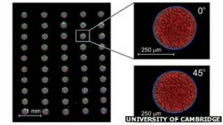 puntos de laser