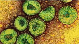 Virus corona