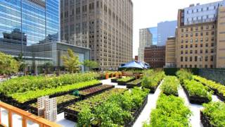 Riverpark Farm, granja portátil en Nueva York Foto: gentileza Riverpark Farm