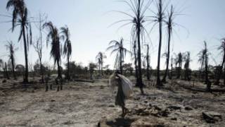 rohingya_