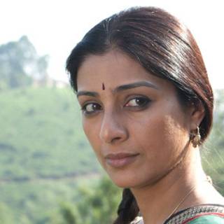 तब्बू