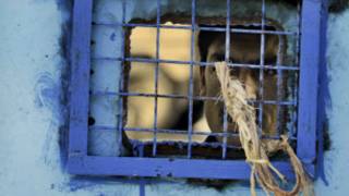 thaliban prisoners