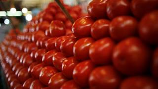 Tomates de México