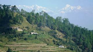 बिनसर अभयारण्य, उत्तराखंड