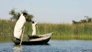 أهوار العراق