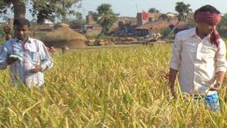 farmers