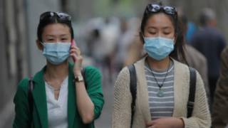 bird flu