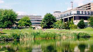巴斯大学