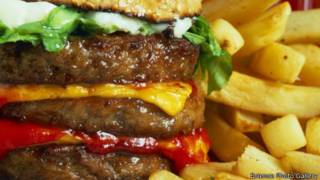 hambúrguer e batatas fritas (foto: Science Photo Gallery)