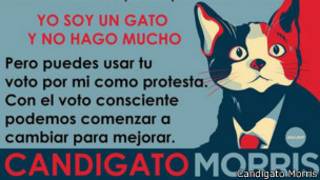 El candigato Morris
