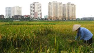 Nông thôn Việt Nam