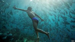 Bajau