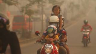 haze