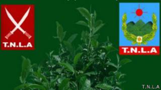 TNLA, Ta'ang Liberation National Army