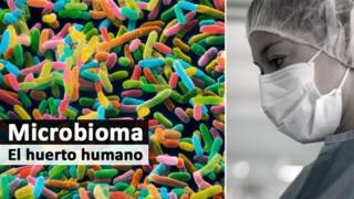 Microbioma, salud