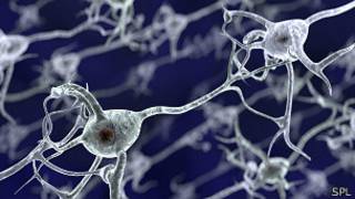 Neuronas