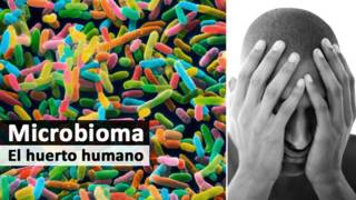 Microbioma - psiquiatría