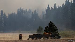 Incendio en Yosemite