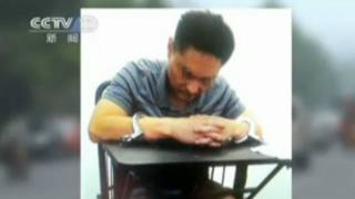 韓磊(中央電視台截屏)