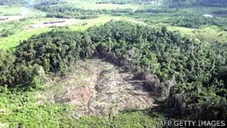 Desforestación en la Amazonía