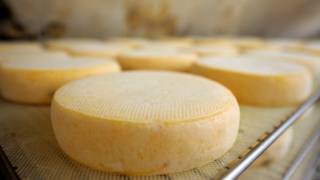Queso