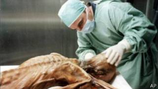Corpo de Ötzi é analisado por cientista