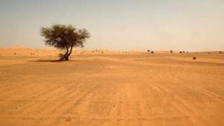 Desierto del Sáhara